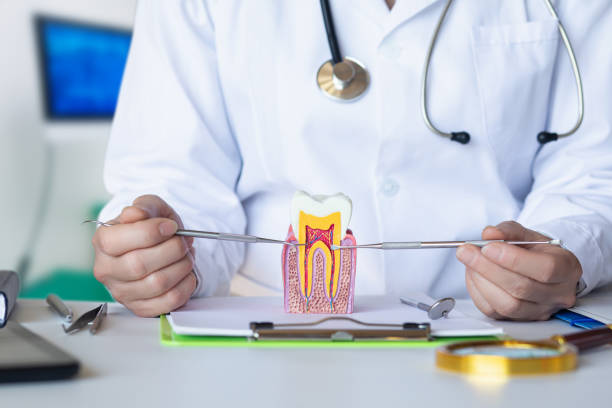 Best Mobile Emergency Dentist in San Lorenzo, CA